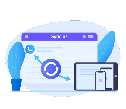 Syncios WhatsApp Transfer