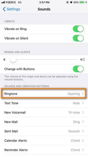 choose Ringtones on iPhone 16/16 Plus