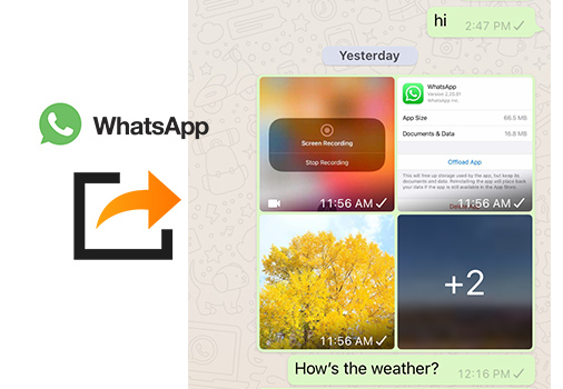 transfer data from Android to iPhone 16