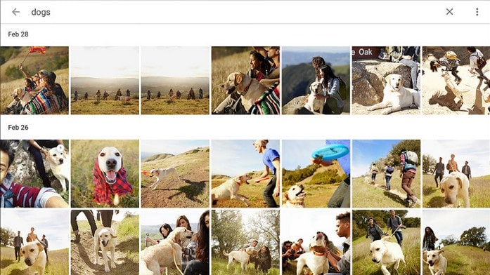 google photos