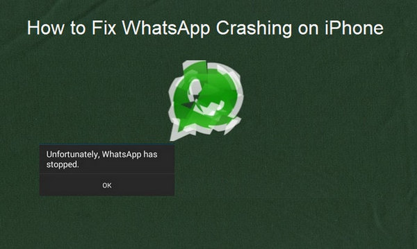 How to Fix WhatsApp Crashing on iPhone