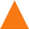 orange triangle