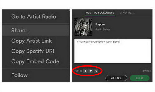 Share Spotify Music via SNS