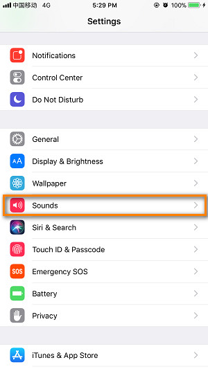 find Sounds setting on iPhone 16/16 Plus