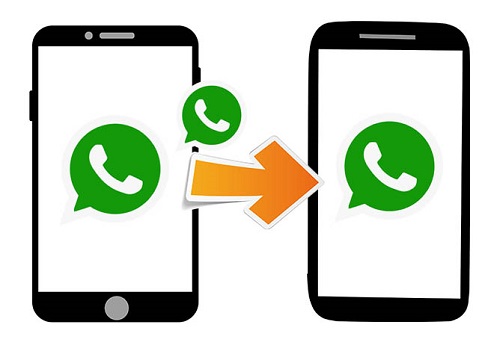 Transfer WhatsApp between Different Accounts