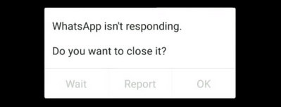 WhatsApp Crashes