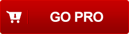 Buy Pro