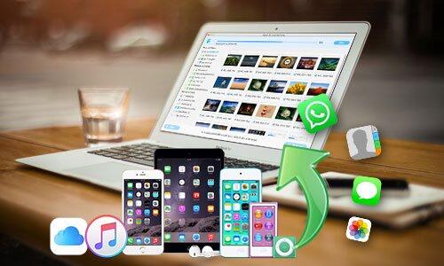 Preview data before recovery