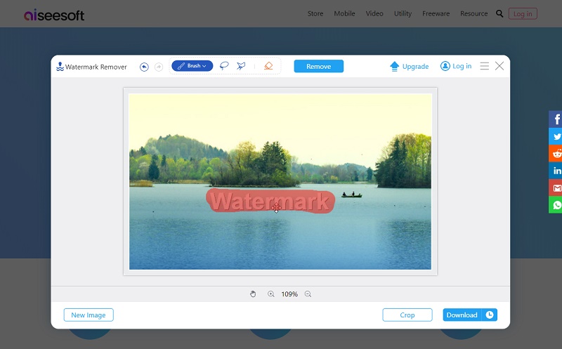 remove watermark from photo with aiseesoft