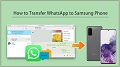 WhatsApp to All Samsung Phones
