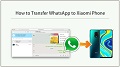 WhatsApp to All Xiaomi Phones